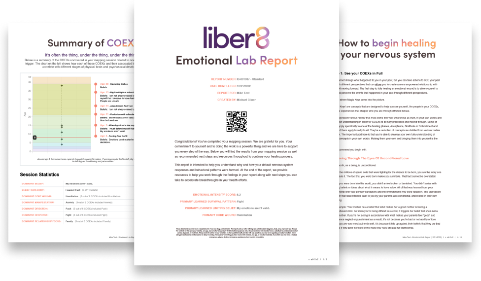Emotional Lab Report example PDF